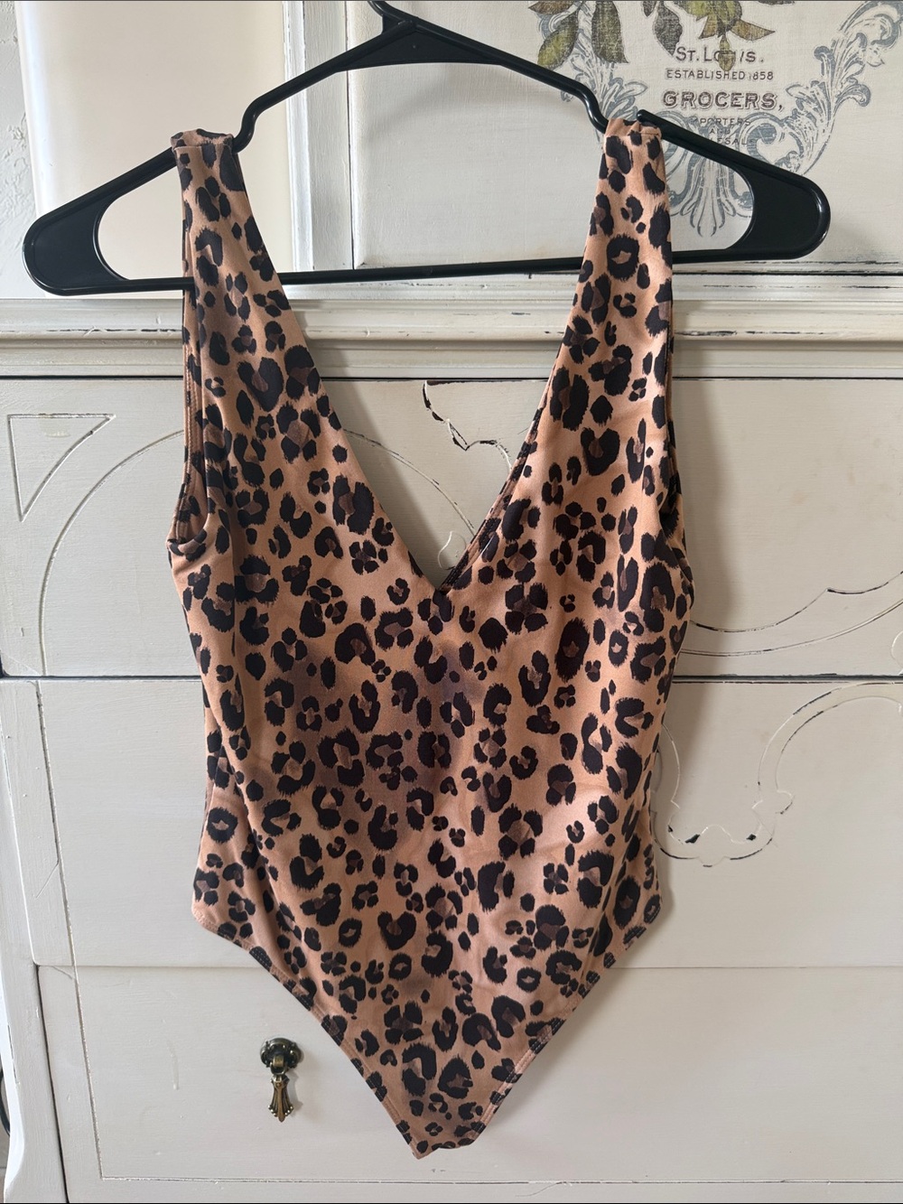 Babaton Leopard-Print One-Piece Swimsuit in Brown and Black